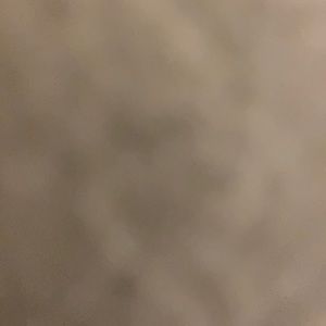 Meet your Posher, Gavin